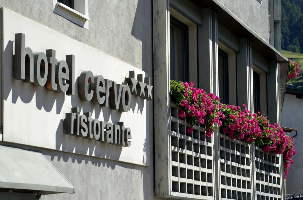 Hotel Cervo 博尔米奥 外观 照片